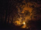 Пожарный наблюдает за лесным пожаром. Испания, 14 октября
