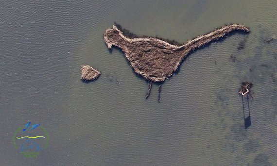 Незвичайний острів у формі фазана на Одещині