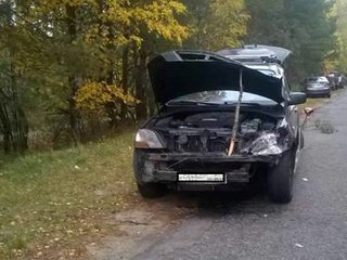 На Київщині автівка постраждала від зіткнення з лосем