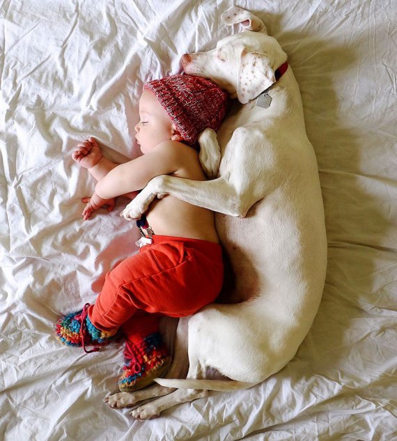Собака Нора обожнює хлопчика Арчі