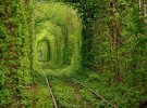 Туннель любви, Украина.