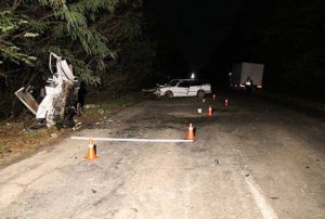 Вінниччина: водійка "BMW" розчавила двох людей, 3 травмовано