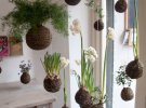 Где эффектно разместить комнатные растения дома