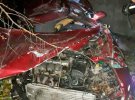 28-річний водій автомобіля Mazda не впорався з керуванням та в'їхав у у дерево та будинок. Загинув на місці разом із 17-річною пасажиркою