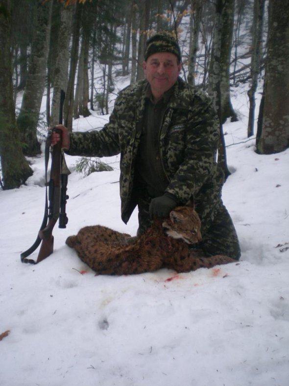 Председатель общества охотников рыбаков Раховского района подстрелил краснокнижную рысь