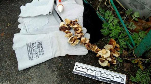 27-летний мужчина спрятал сушеные лесные грибы у себя под одеждой и пытался вывезти из зоны отчуждения на своем автомобиле