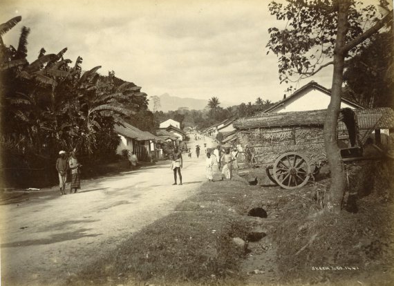 Село в регионе Коломбо