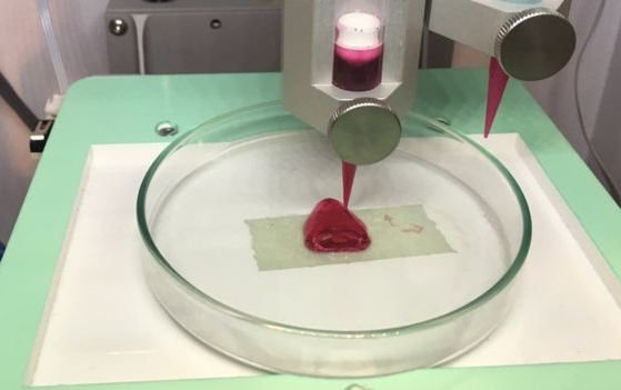Печать носа на 3D-принтере