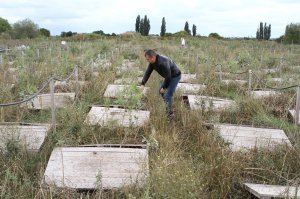 Сергій Данілейко два роки вирощує равликів у селі Войнівка Чутівського району на Полтавщині. Ресторани закуповують їх від 600 гривень за кілограм