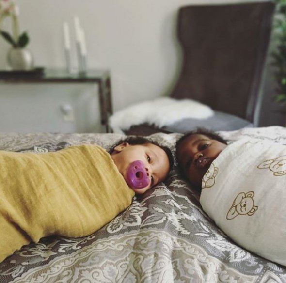 Сестри Шиплі