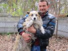 Собаку-даишницю взяли на временное содержание местные зоозащитники