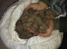 В Волынской области правоохранители изъяли около 200 кг янтаря в подпольных цехах
