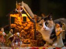 Рождественские коты удачно вписались в декорации