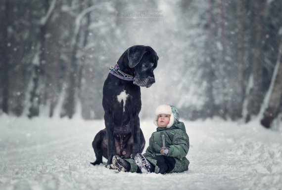 Фотограф Енді Селіверстофф зробив серію фото з гігантськими собаками та їх крихітними господарями