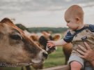 Фотосессия малыша и теленка