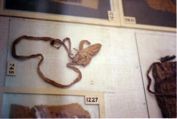 Презерватив Тутанхамона. Його ідентифікували за ДНК-аналізом