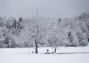 Температура воздуха в понедельник ожидается без особых изменений