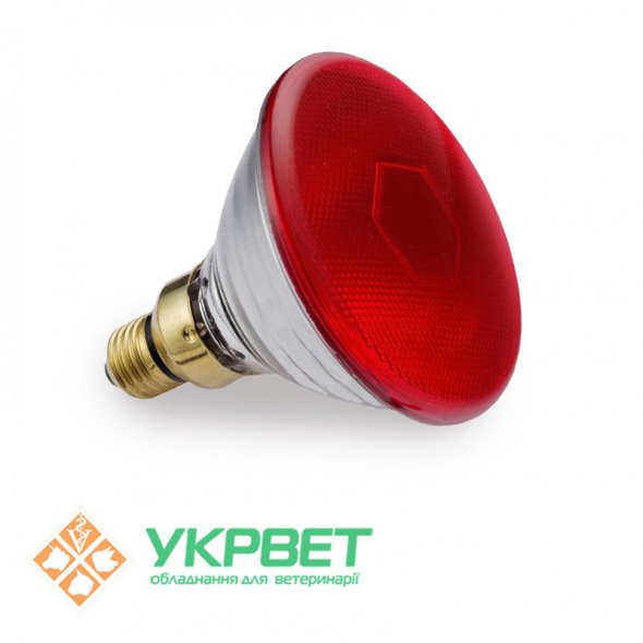 Компанія "Укрвет" пропонує інфрачервоні лампи для обігріву тварин і птиці