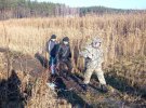 Полицейские разыскали пропавшего 17-летнего парня из села Малая Солтановка Васильковского района