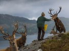 National Geographic опублікувало найкращі фото року