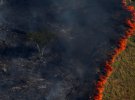 Работники Бразильского института окружающей среды и возобновляемых природных ресурсов сжигают лес в рамках борьбы с незаконными вырубками в штате Амазонас, Бразилия
