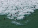 Жители и туристы купаются на пляже Барра-да-Тижука летним днем в Рио-де-Жанейро, Бразилия