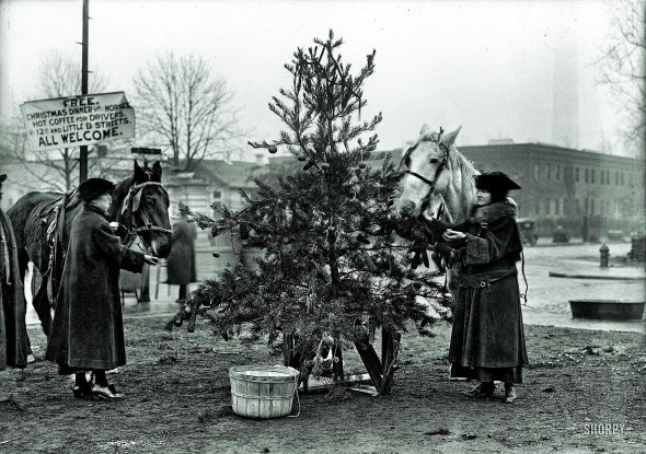 Безкоштовну ”Різдвяну вечерю для коней” організували 24 грудня 1918 року в столиці США Вашингтоні. Охочі могли погодувати своїх тварин кукурудзою, яблуками, картоплею і морквою