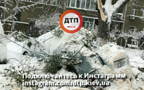 В Киеве после снегопада деревья падают на машины