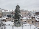 Главная елка Украины на Софиевской площади в центре Киева