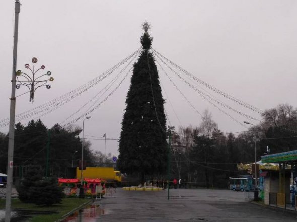 Ялинка крутитиметься на підставці