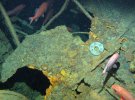 Експедиція Королівських ВМС Австралії знайшла субмарину через 103 роки після зникнення