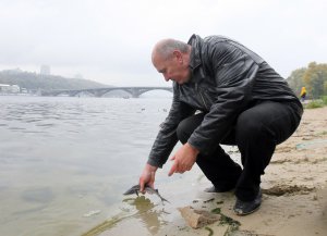 Олександр Чистяков відпускає рибу в Дніпро в Києві. За роки незалежності вилов риби в Україні скоротився майже у 13 разів