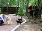 В унікальному селі мешкає близько 100 котів. Волонтери планують розселити там ще 100