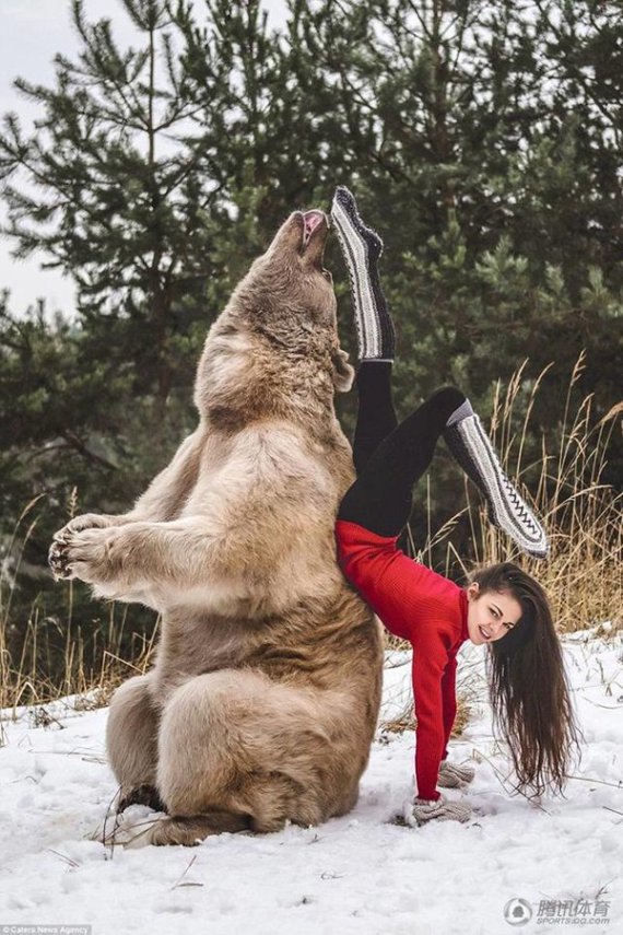 Стефані Міллінгер разом із ведмедем займається йогою