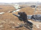Фотографии боевых котят украинских воинов.