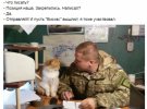 Світлини бойових кошенят українських воїнів.