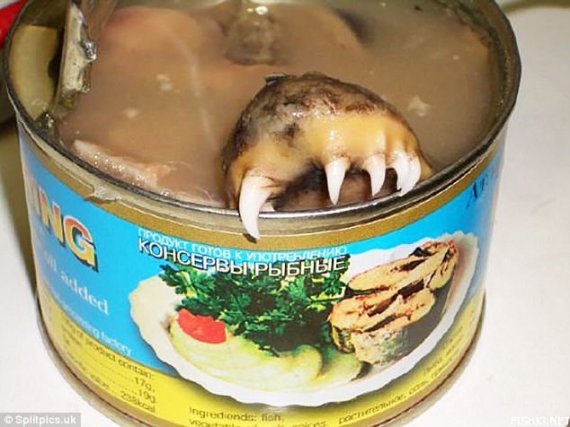 "В России консервированная рыба может сама тебя съесть", - комментируют эту фотографию за рубежом. Они не знают о том, что может случаться в нашем хлебе, конфетах и колбасах.