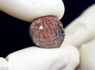 Древню печатку знайшли під час розкопок Єрусалиму