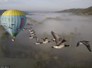 Кристиан Мулец имеет уникальный опыт - учит летать диких гусей