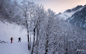 На высокогорье Ивано-Франковской и Закарпатской областей в ближайшие дни существует опасность схода снежных лавин. Фото: Сегодня