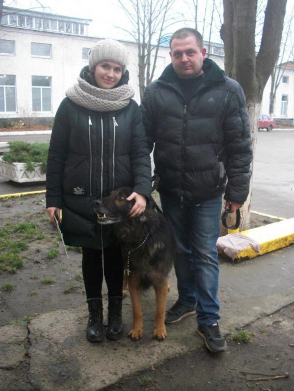 Хазяї знайшли собаку через 2 роки. Протягом цього часу зберігали документи та фотографії улюбленця, шукали його та сподівалися на зустріч