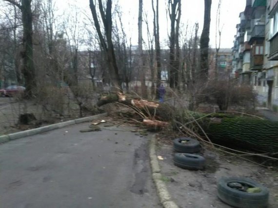 Дерево распилили и освободили проезд для автомобилей