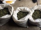 На Дніпропетровщині у місцевого жителя вилучено наркотиків на 3 млн грн. Фото: Цензор.НЕТ