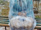 В скульптуре "Бабка классическая" вандалы оторвали сумку, а в образовавшуюся дыру набросали окурки