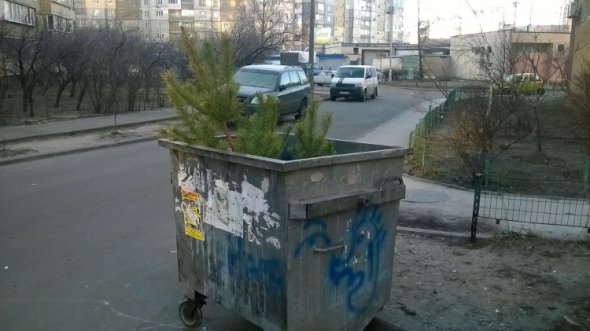 В Киеве кто-то забросил довольно немалую елку в контейнер для мусора