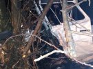Возле города Тальное Черкасской области, автомобиль врезался в рейсовый автобус