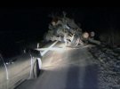 В Житомирской области во время ДТП с лесовозом бревна травмировали  пассажиров автобуса