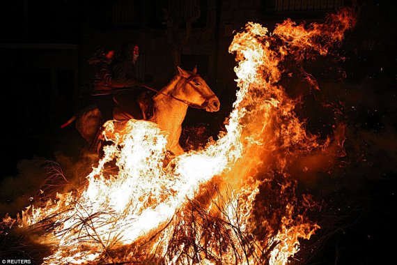 За народним повір'ям, коні, котрі пройдуть через вогонь напередодні 17 січня, очистяться від негативу