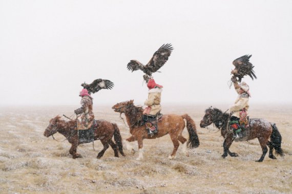 Монгольские мужчины отправляются на соколиную охоту 