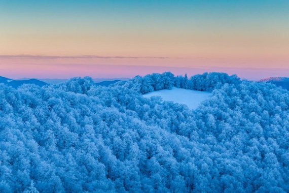 Засніжені вершини Карпатських гір